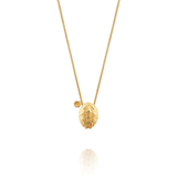Turtle Shell Gold & Fossil Coral Necklace